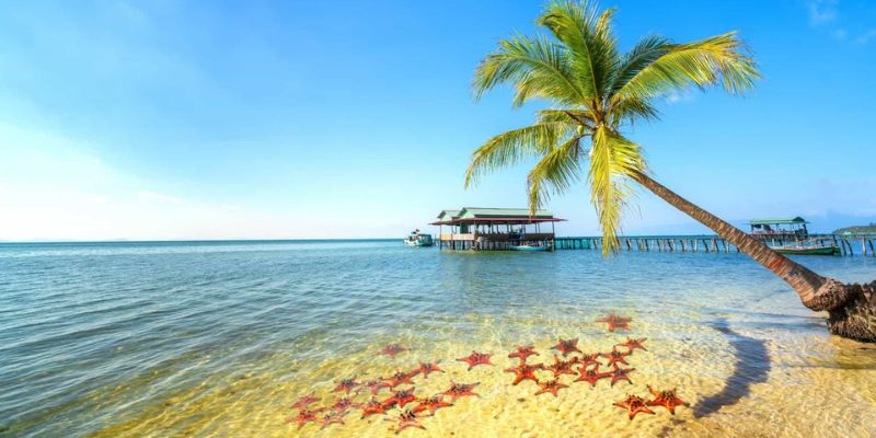 Visit Starfish Beach